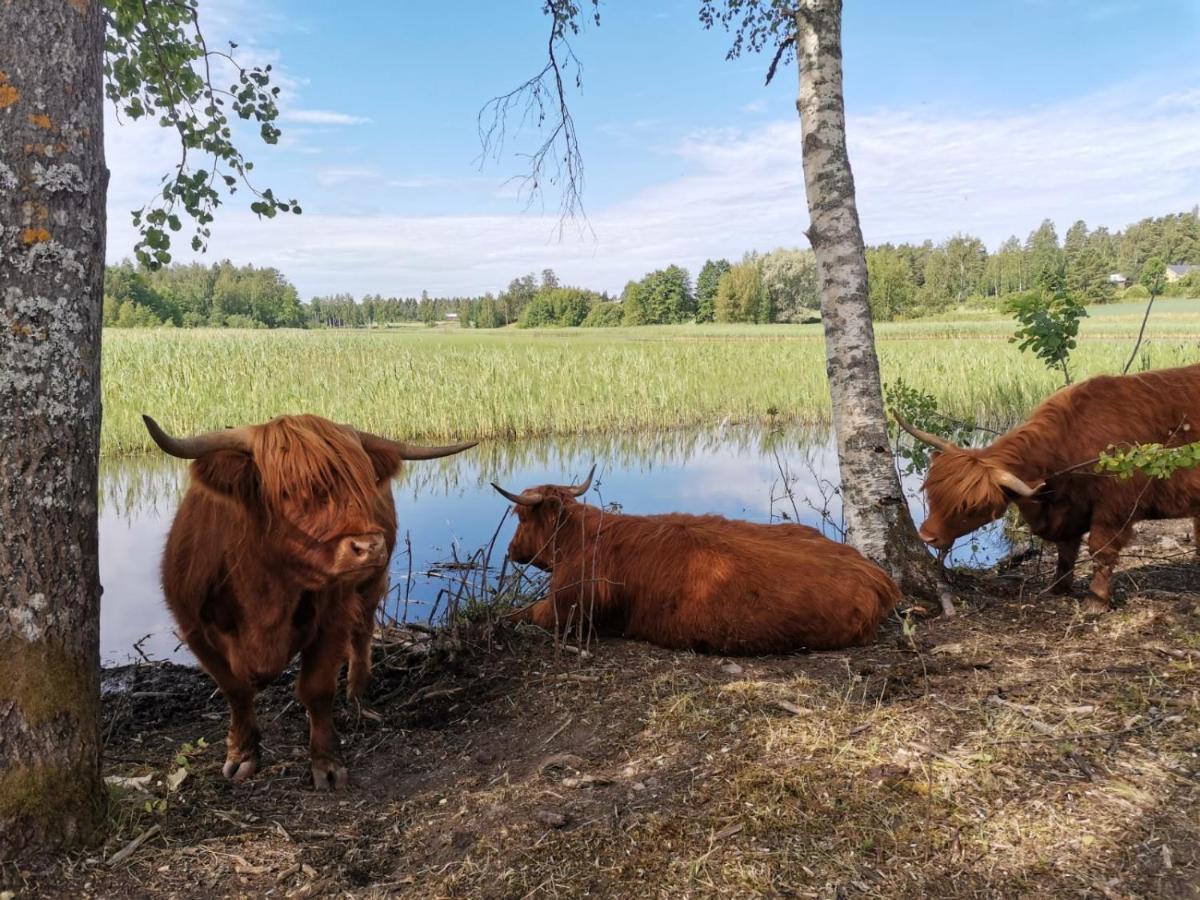 Isotalo Farm At Enaejaervi Lake Salo  Exterior photo